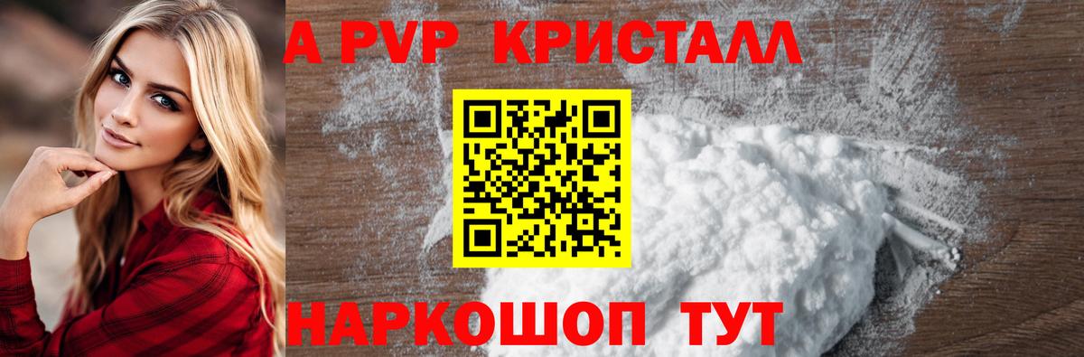 A PVP СК Горно-Алтайск