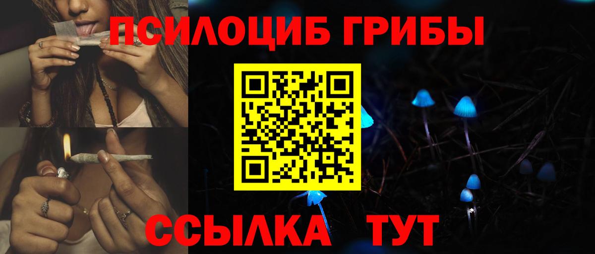 Горно-Алтайск  Псилоцибиновые грибы Psilocybe  Вход с VPN 