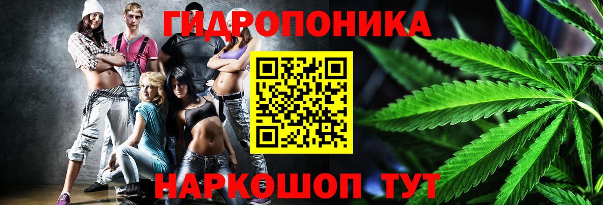 Шишки марихуана AK-47 Горно-Алтайск